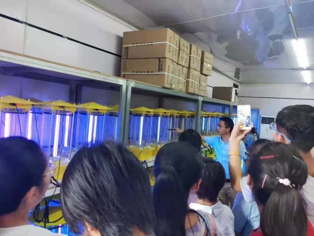 ���CʡƽȪ�ЌW(xu��)�������d�A���W(xu��)������w��ϼ�ώ�һ�Ѕ��^���w�Ƽ�